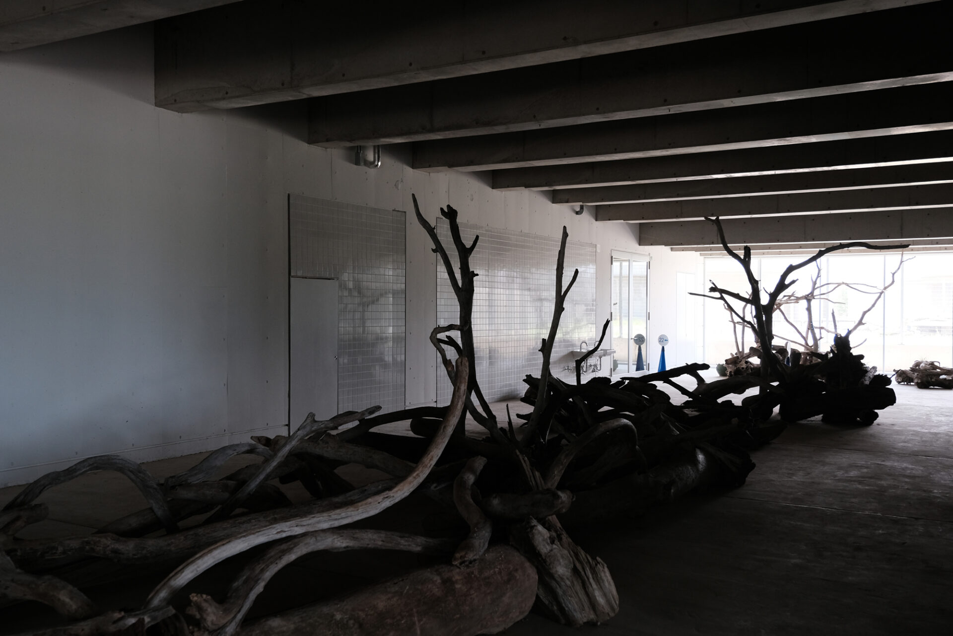 霞ケ浦 どうぶつとみんなのいえ 茨城県 霞ケ浦ふれあいランド(旧水の科学館)が2024年7月31日に霞ヶ浦どうぶつとみんなのいえとして